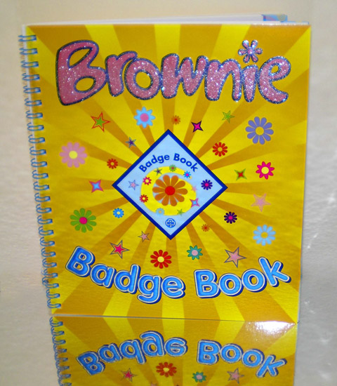 brownie badge book